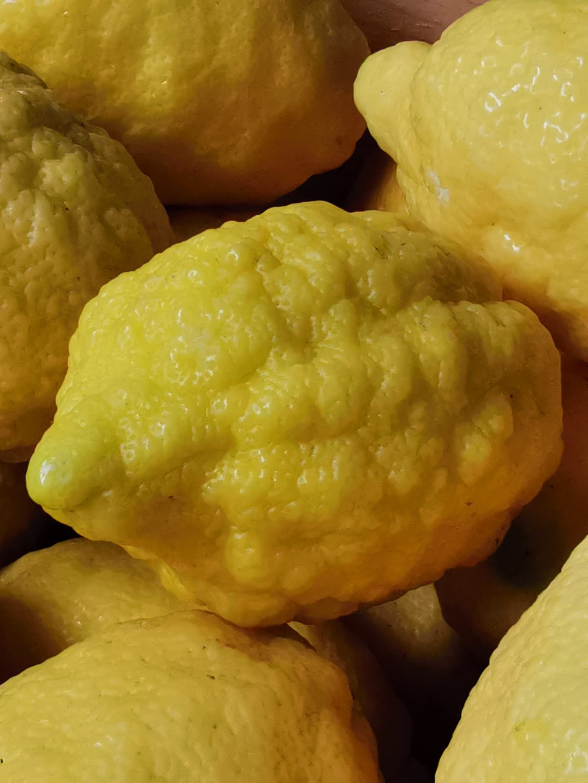 Sfusata Amalfitana