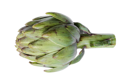 Artischocken. Sizilien - CHIMERA