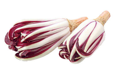 Radicchio Rosso di Treviso Tardivo IGP
