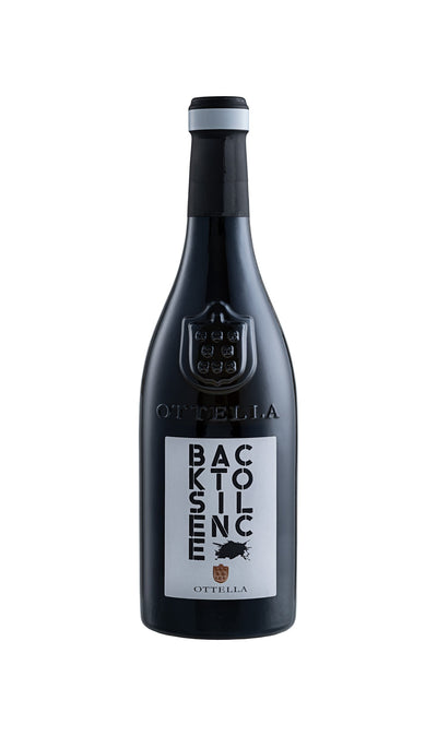 BACK TO SILENCE Lugana DOC 2022 - OTTELLA, 0,75L